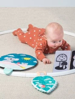 Cerceau D'activités Koala TAFTOYS Beige - Taf Toys 5 Cerceau D'activités Koala TAFTOYS Beige - Taf Toys -Buki France Shop cerceau dactivites koala taftoys 2