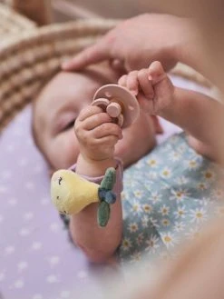 Hochets Mains Et Pieds DOUCE PROVENCE Violet - Douce Provence - Vertbaudet 11 Hochets Mains Et Pieds DOUCE PROVENCE Violet - Douce Provence - Vertbaudet -Buki France Shop hochets mains et pieds douce provence 5