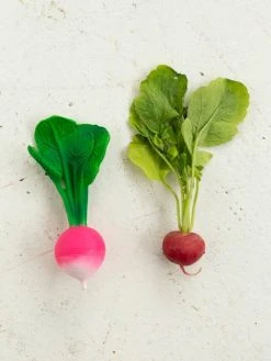 Jouet De Dentition Ramona Le Radis - OLI & CAROL Rose - Oli Et Carol 11 Jouet De Dentition Ramona Le Radis - OLI & CAROL Rose - Oli Et Carol -Buki France Shop jouet de dentition ramona le radis oli carol 5