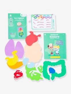 Kit Collector Les Organes Du Corps 3/7 Ans PANDACRAFT Violet - Pandacraft -Buki France Shop kit collector les organes du corps 37 ans pandacraft 3