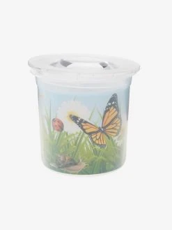 Kit De L'observateur D'insectes Vert - Vertbaudet -Buki France Shop kit de lobservateur dinsectes 2