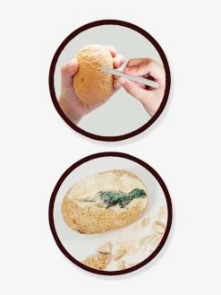 Maxi Pack 12 Oeufs Dinosaures - BUKI Orange - Buki 7 Maxi Pack 12 Oeufs Dinosaures - BUKI Orange - Buki -Buki France Shop maxi pack 12 oeufs dinosaures buki 2