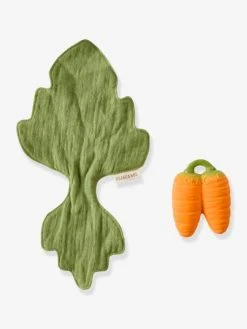 Mini Doudou Cathy La Carotte - OLI & CAROL Orange - Oli Et Carol 9 Mini Doudou Cathy La Carotte - OLI & CAROL Orange - Oli Et Carol -Buki France Shop mini doudou cathy la carotte oli carol 4