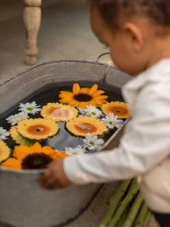 Sun Le Tournesol - OLI & CAROL Jaune - Oli Et Carol 9 Sun Le Tournesol - OLI & CAROL Jaune - Oli Et Carol -Buki France Shop sun le tournesol oli carol 3