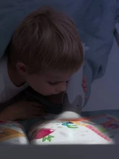 Veilleuse Torche Gina La Girafe - ZAZU Gris - Toutes Les Marques 10 Veilleuse Torche Gina La Girafe - ZAZU Gris - Toutes Les Marques -Buki France Shop veilleuse torche gina la girafe zazu 4